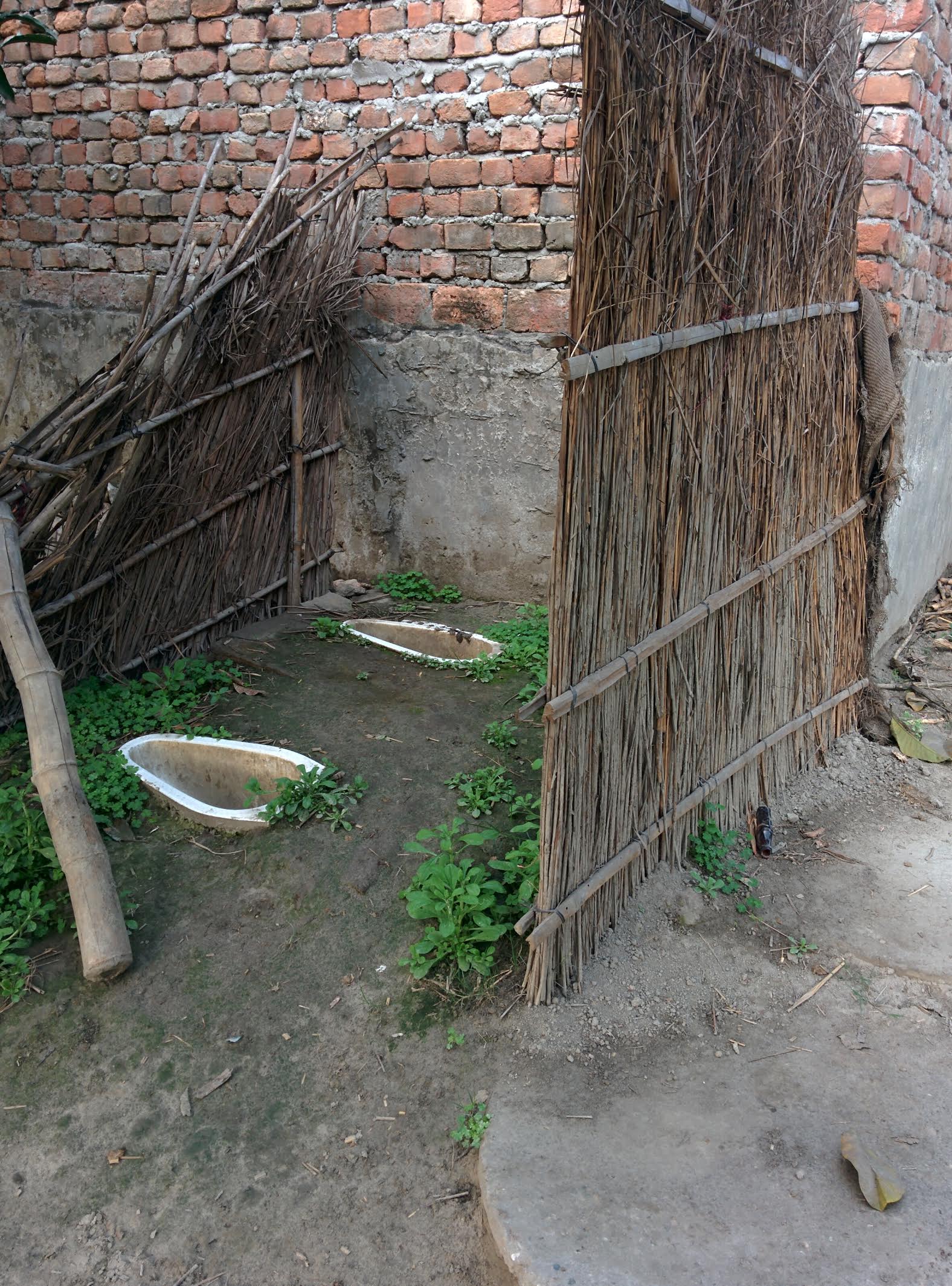 toilet2_amit
