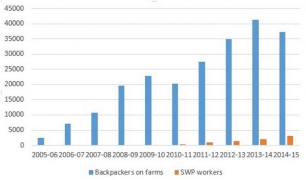 Backpackers and seasonal workers working on Australia's farms Backpackers and seasonal workers working on Australia's farms
